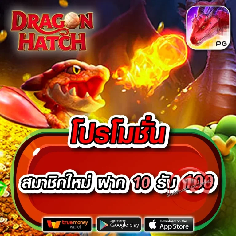 https zep168 com login